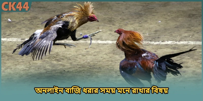 (ছবি: অনলাইন বাজি ধরার সময় মনে রাখার বিষয়)