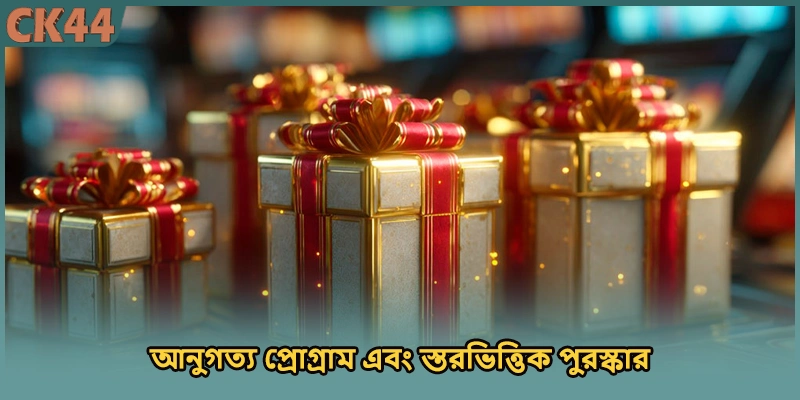 আনুগত্য প্রোগ্রাম এবং স্তরভিত্তিক পুরস্কার
