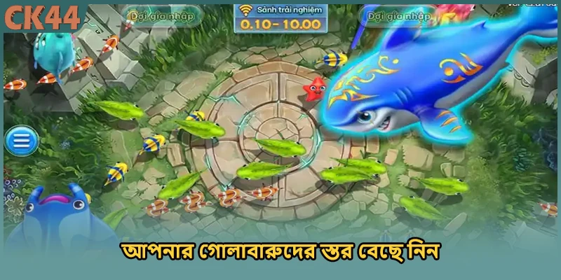 আপনার গোলাবারুদের স্তর বেছে নিন
