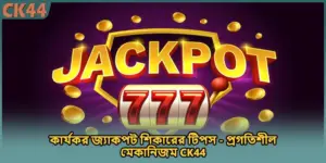 কার্যকর জ্যাকপট শিকারের টিপস - প্রগতিশীল মেকানিজম CK44
