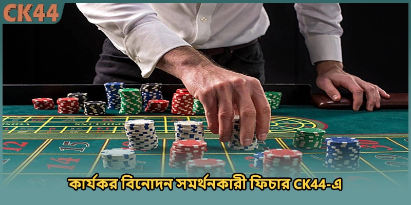 কার্যকর বিনোদন সমর্থনকারী ফিচার CK44-এ