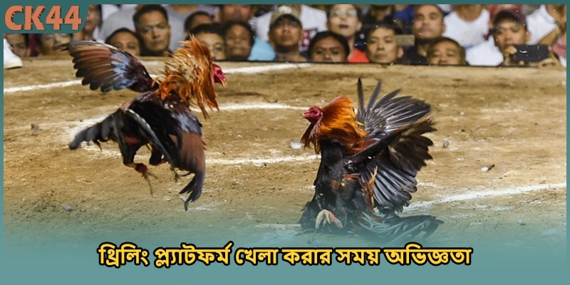 থ্রিলিং প্ল্যাটফর্ম খেলা করার সময় অভিজ্ঞতা