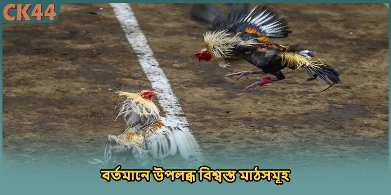 বর্তমানে উপলব্ধ বিশ্বস্ত মাঠসমূহ