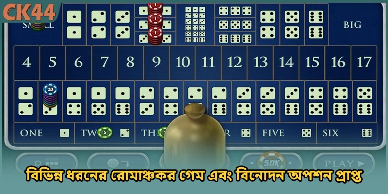 বিভিন্ন ধরনের রোমাঞ্চকর গেম এবং বিনোদন অপশন প্রাপ্ত