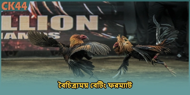 বৈচিত্র্যময় বেটিং ফরম্যাট