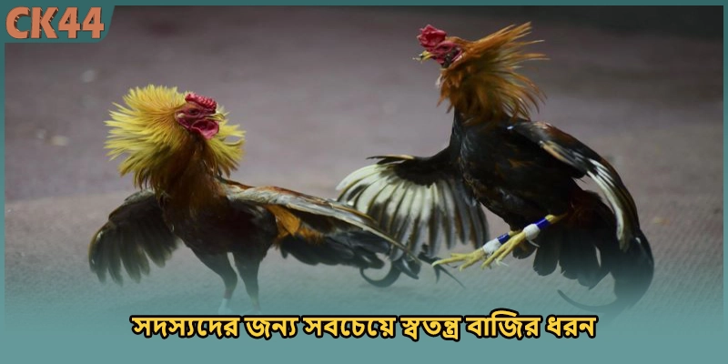 (ছবি: সদস্যদের জন্য সবচেয়ে স্বতন্ত্র বাজির ধরন)